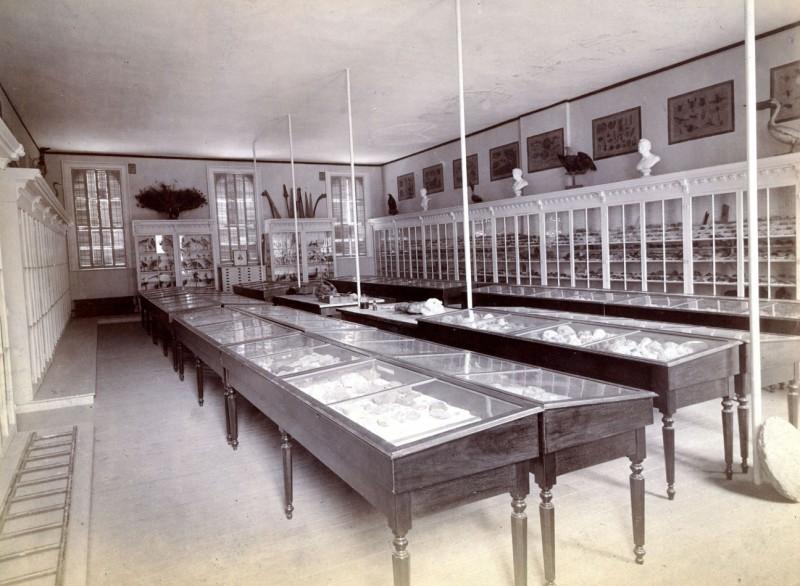 Classroom with geological specimens in the Main building.