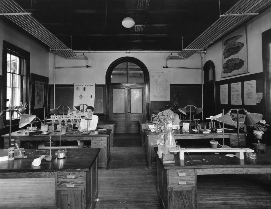First floor laboratory, east wing, looking west