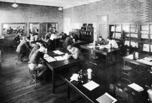 Students working and studying in a Ricketts laboratory