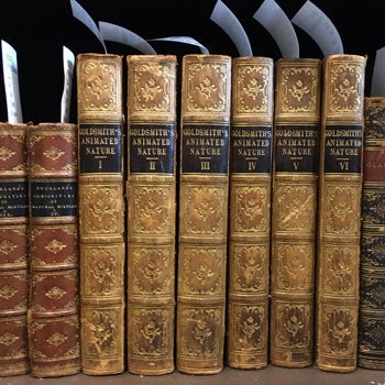 Image of the spines of the Goldsmith's Animated Nature rare book collection